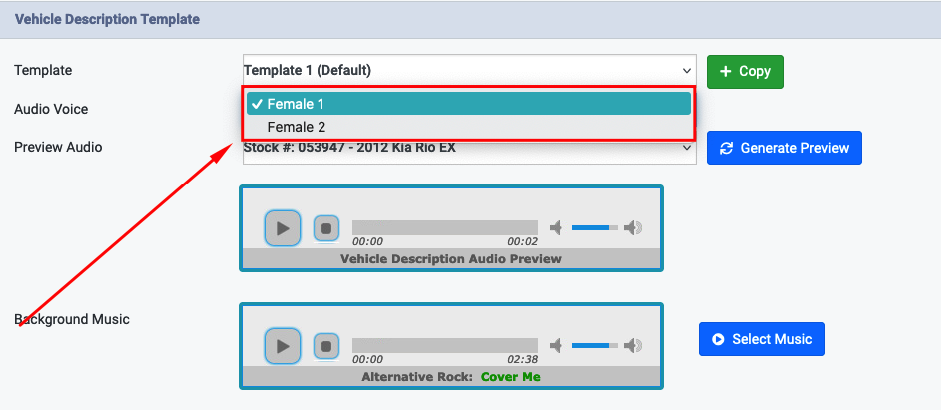 Auto Video Description- Audio Voice.png