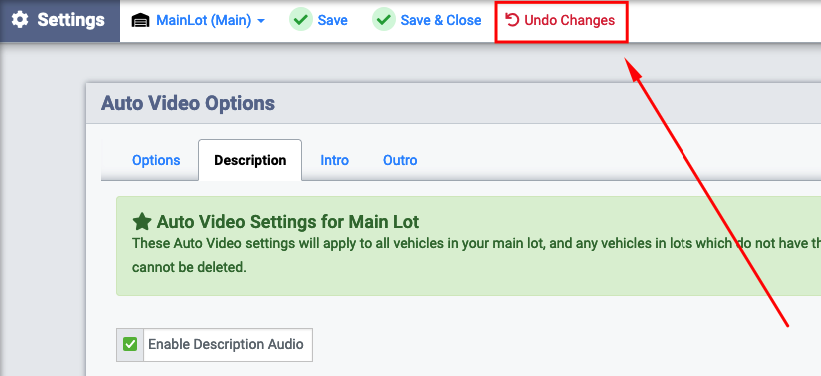 Auto Video Description- Undo Changes.png
