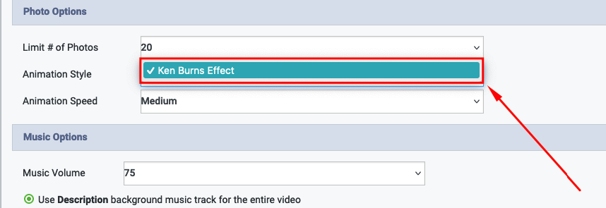 Auto Video Options- Animation Style.png
