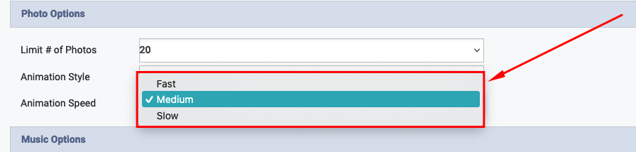 Auto Video Options- Animation Speed.png